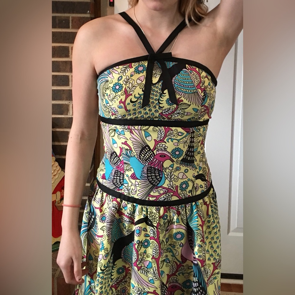 Anthropologie Tabitha size 4. Bird of Paradise silk dress